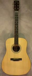 Eastman E10D Dreadnaught