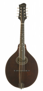 Eastman MD504 Mandolin w/ HSC