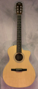 Taylor 214ce-N Nylon String w/ Gigbag