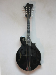 Custom Eastman MD415 w/ K&K pickup and HSC