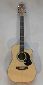 Maton Joe Robinson Signature Model Guitar w/ HSC