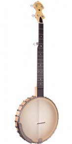 Gold Tone CC Carlin 12 Banjo w/ gigbag