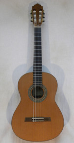 USED Hofner HZ27 no case