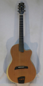 USED Batson Gypsy Guitar w/ HSC
