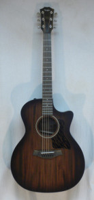 Taylor AD24ce w/ Aerocase