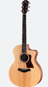 Taylor 14ce w/ gigbag