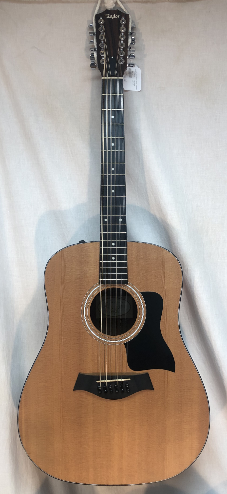 USED Taylor 150e 12 String w gigbag